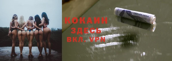 дмт Аркадак