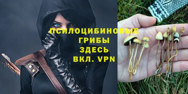 спиды Армянск
