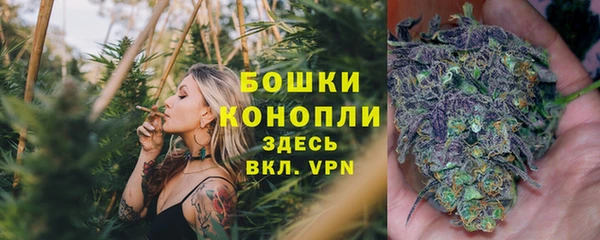 прущий лед Арсеньев