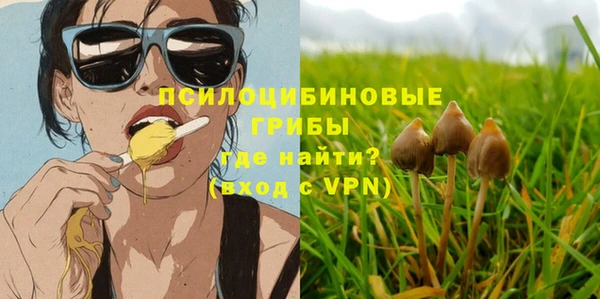 дмт Аркадак