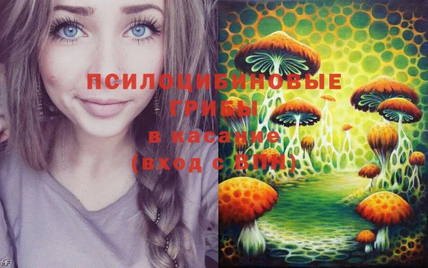 прущий лед Арсеньев