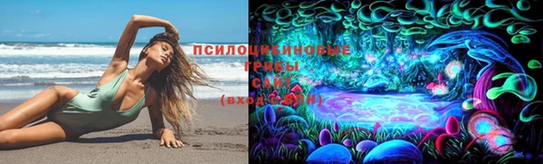 прущий лед Арсеньев
