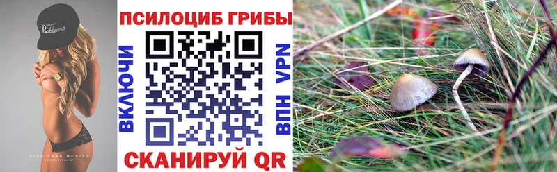 наркота  Ахтубинск  MEGA как войти  Галлюциногенные грибы Psilocybine cubensis 