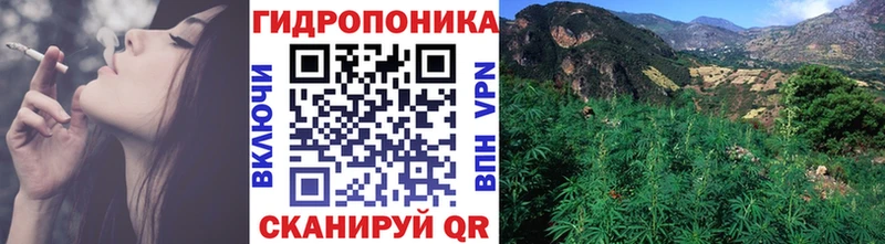 сколько стоит Ахтубинск Шишки марихуана OG Kush
